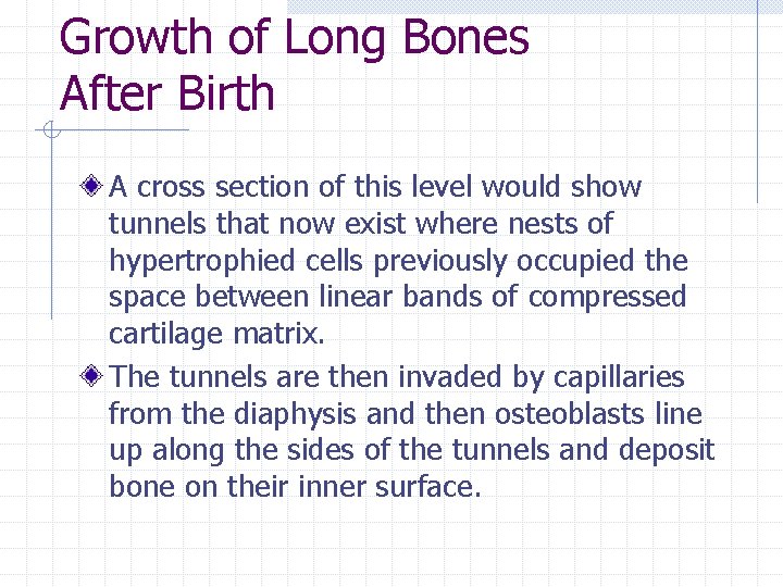Growth of Long Bones After Birth A cross section of this level would show Growth of Long Bones After Birth A cross section of this level would show