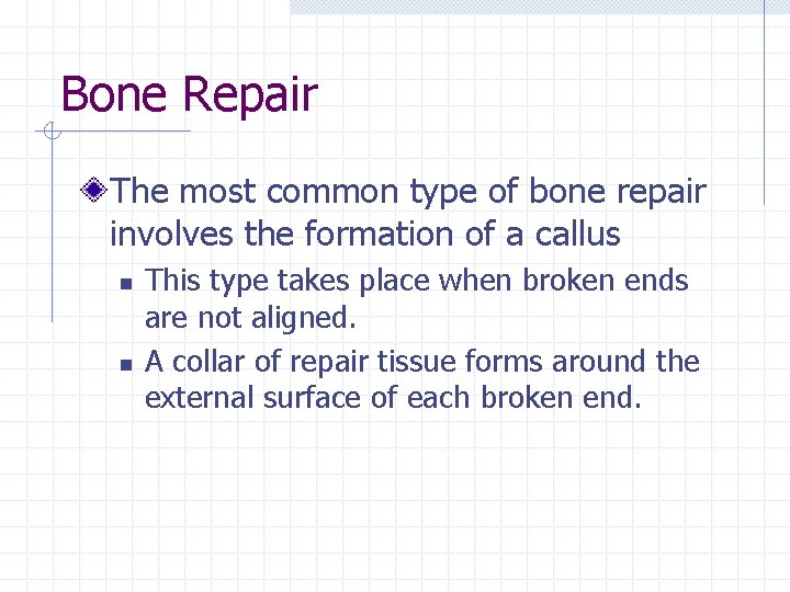 Bone Repair The most common type of bone repair involves the formation of a Bone Repair The most common type of bone repair involves the formation of a
