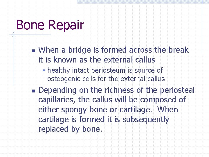 Bone Repair n When a bridge is formed across the break it is known Bone Repair n When a bridge is formed across the break it is known
