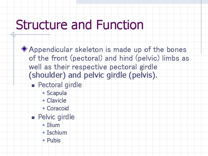 Structure and Function Appendicular skeleton is made up of the bones of the front Structure and Function Appendicular skeleton is made up of the bones of the front