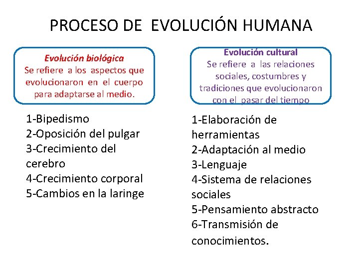 PROCESO DE EVOLUCIÓN HUMANA Evolución biológica Se refiere a los aspectos que evolucionaron en