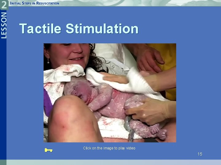 Tactile Stimulation Click on the image to play video 15 