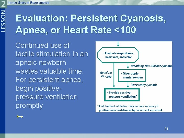 Evaluation: Persistent Cyanosis, Apnea, or Heart Rate <100 Continued use of tactile stimulation in