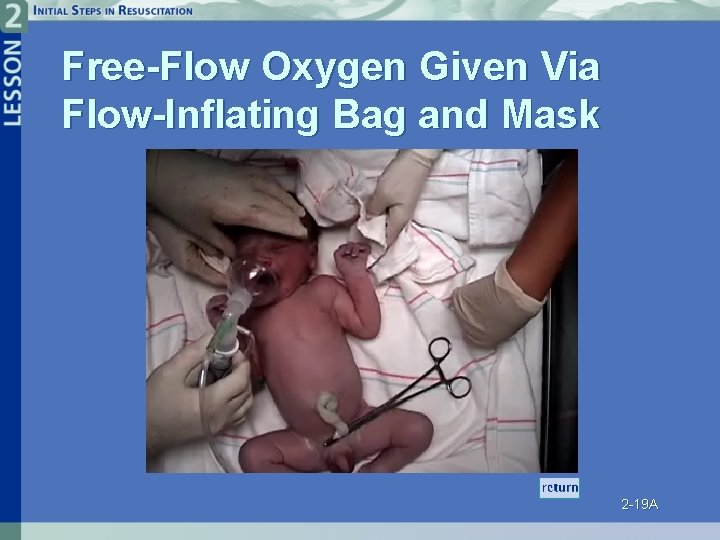 Free-Flow Oxygen Given Via Flow-Inflating Bag and Mask 2 -19 A 