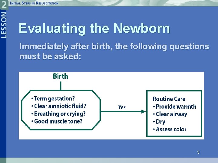 Evaluating the Newborn Immediately after birth, the following questions must be asked: 3 
