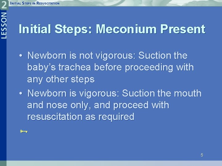 Initial Steps: Meconium Present • Newborn is not vigorous: Suction the baby’s trachea before