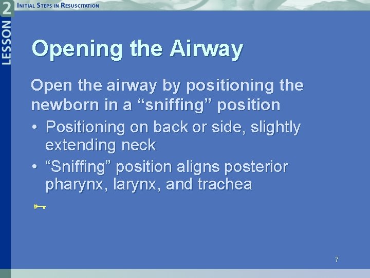 Opening the Airway Open the airway by positioning the newborn in a “sniffing” position