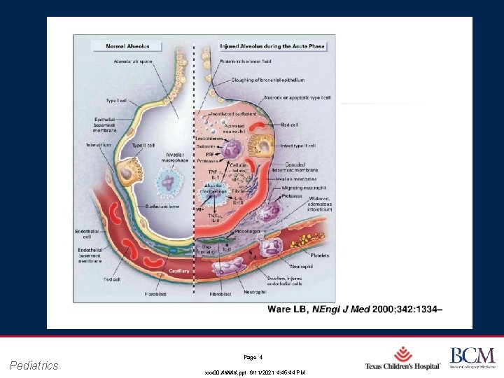 Pediatrics Page 4 xxx 00. #####. ppt 6/11/2021 4: 45: 44 PM Pediatrics Page 4 xxx 00. #####. ppt 6/11/2021 4: 45: 44 PM