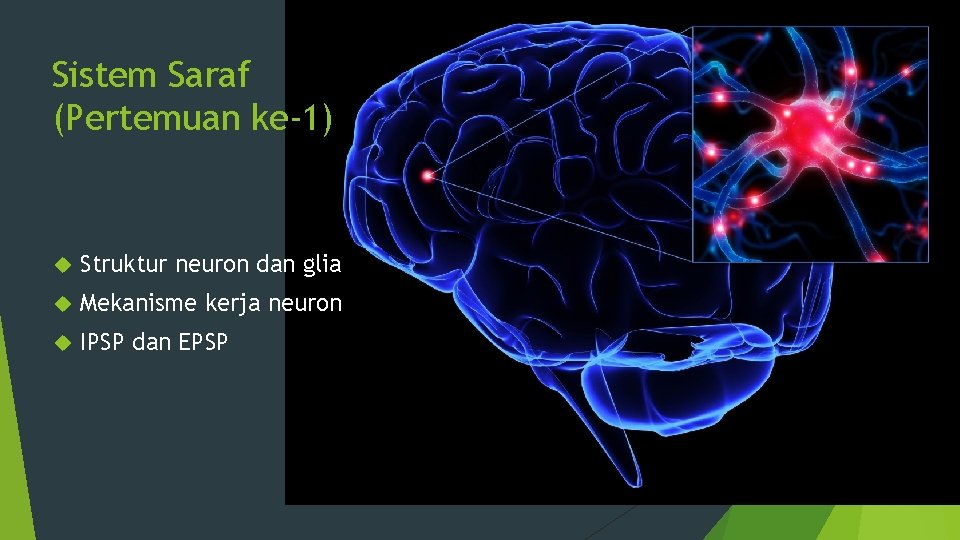 Sistem Saraf (Pertemuan ke-1) Struktur neuron dan glia Mekanisme kerja neuron IPSP dan EPSP