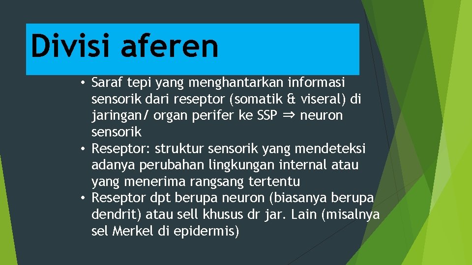 Divisi aferen • Saraf tepi yang menghantarkan informasi sensorik dari reseptor (somatik & viseral)