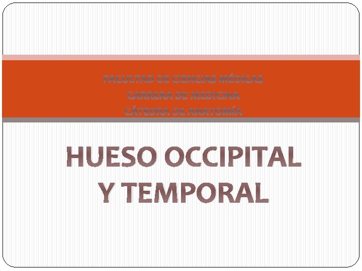 FACULTAD DE CIENCIAS MÉDICAS CARRERA DE MEDICINA CÁTEDRA DE ANATOMÍA HUESO OCCIPITAL Y TEMPORAL