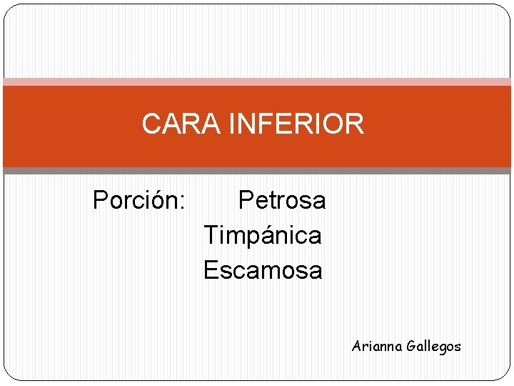 CARA INFERIOR Porción: Petrosa Timpánica Escamosa Arianna Gallegos 