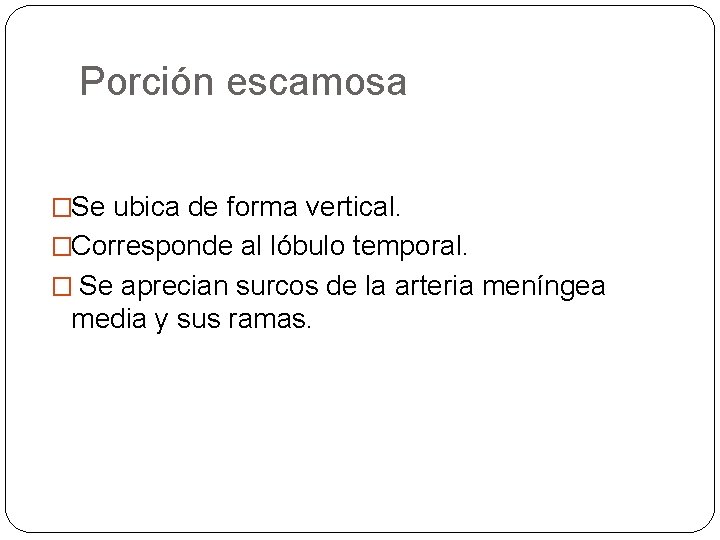 Porción escamosa �Se ubica de forma vertical. �Corresponde al lóbulo temporal. � Se aprecian