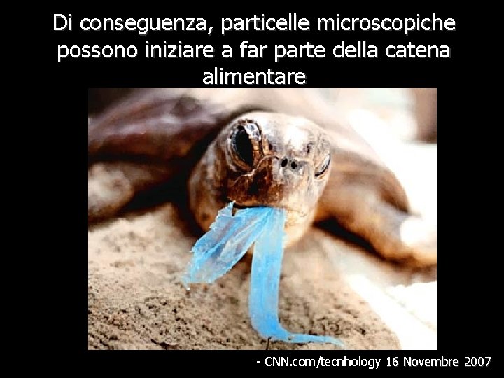 Di conseguenza, particelle microscopiche possono iniziare a far parte della catena alimentare - CNN.