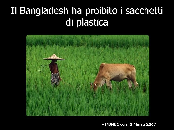 Il Bangladesh ha proibito i sacchetti di plastica - MSNBC. com 8 Marzo 2007