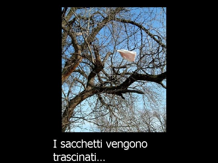 I sacchetti vengono trascinati… 