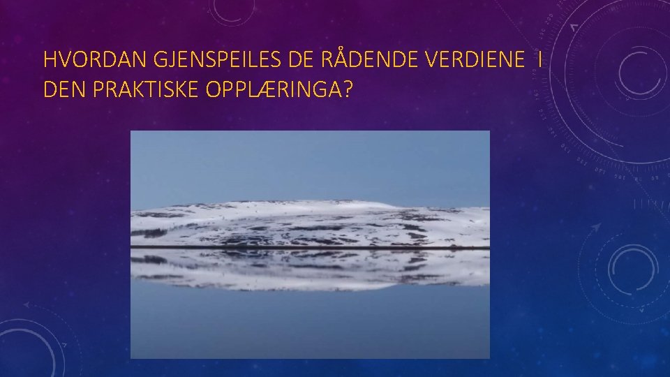 HVORDAN GJENSPEILES DE RÅDENDE VERDIENE I DEN PRAKTISKE OPPLÆRINGA? 