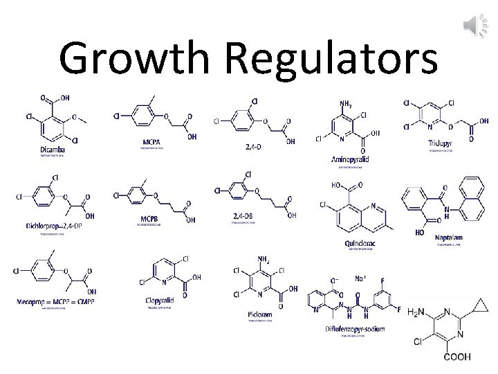 Growth Regulators 