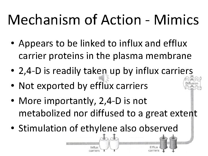 Mechanism of Action - Mimics • Appears to be linked to influx and efflux