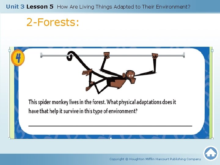 Unit 3 Lesson 5 How Are Living Things Adapted to Their Environment? 2 -Forests: