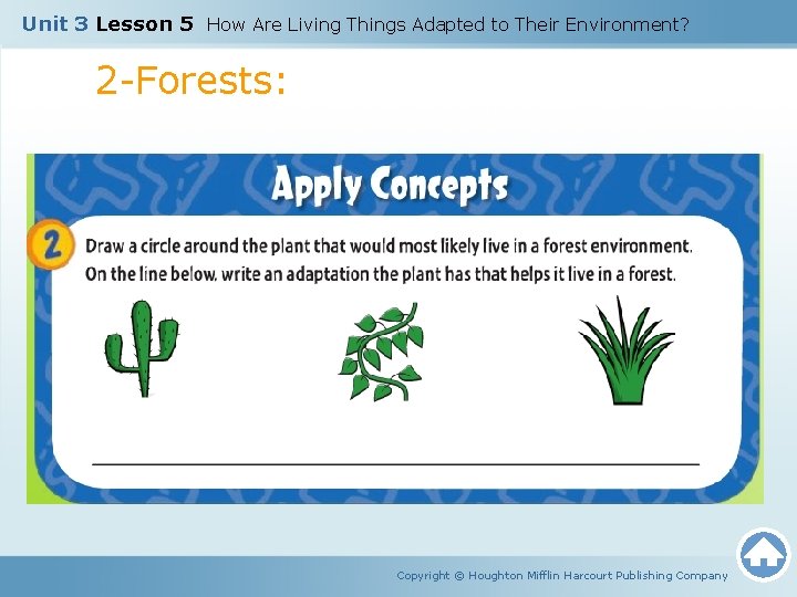 Unit 3 Lesson 5 How Are Living Things Adapted to Their Environment? 2 -Forests: