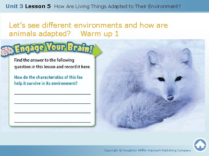 Unit 3 Lesson 5 How Are Living Things Adapted to Their Environment? Let’s see