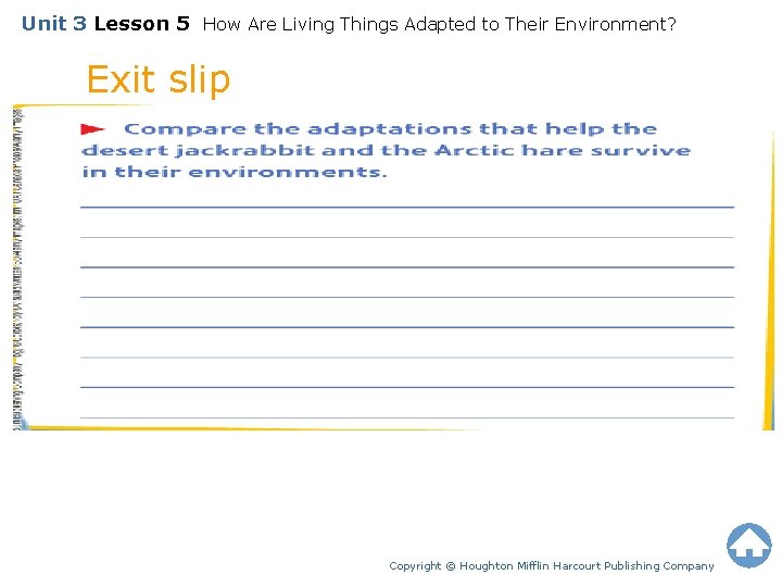 Unit 3 Lesson 5 How Are Living Things Adapted to Their Environment? Exit slip