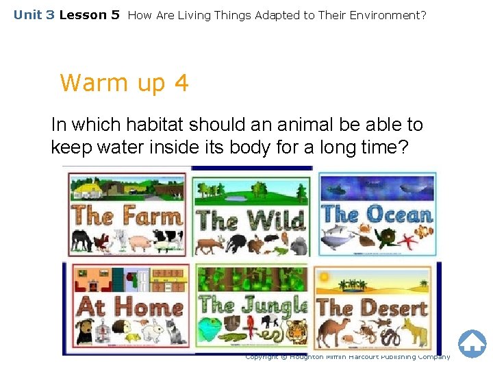 Unit 3 Lesson 5 How Are Living Things Adapted to Their Environment? Warm up