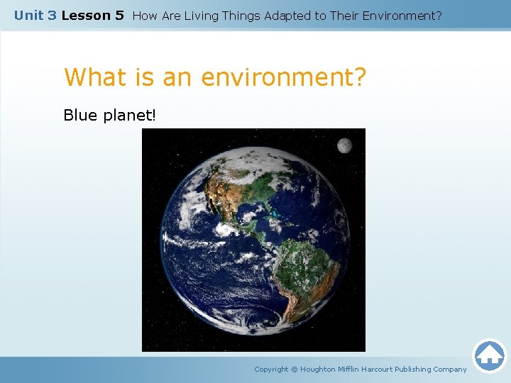 Unit 3 Lesson 5 How Are Living Things Adapted to Their Environment? What is