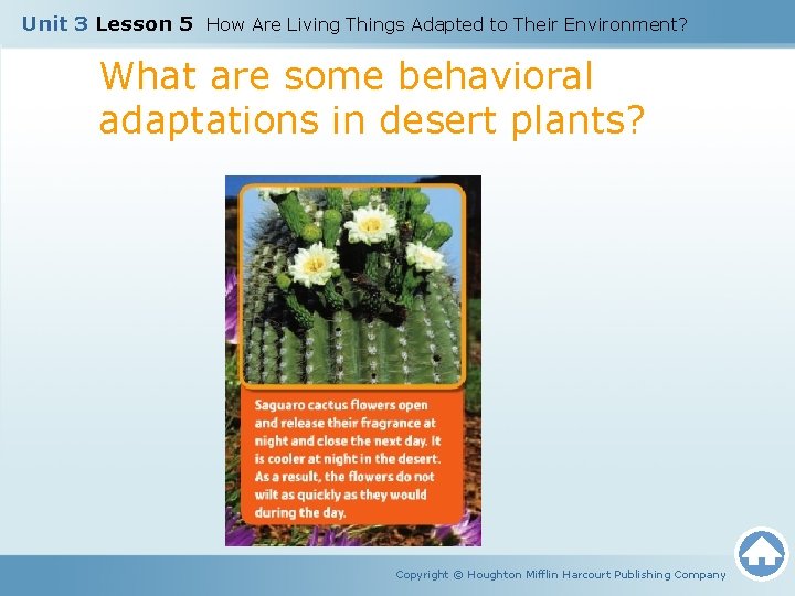 Unit 3 Lesson 5 How Are Living Things Adapted to Their Environment? What are