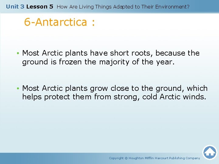 Unit 3 Lesson 5 How Are Living Things Adapted to Their Environment? 6 -Antarctica