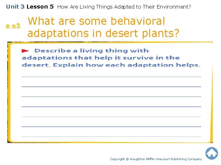 Unit 3 Lesson 5 How Are Living Things Adapted to Their Environment? e. s