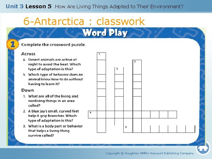 Unit 3 Lesson 5 How Are Living Things Adapted to Their Environment? 6 -Antarctica
