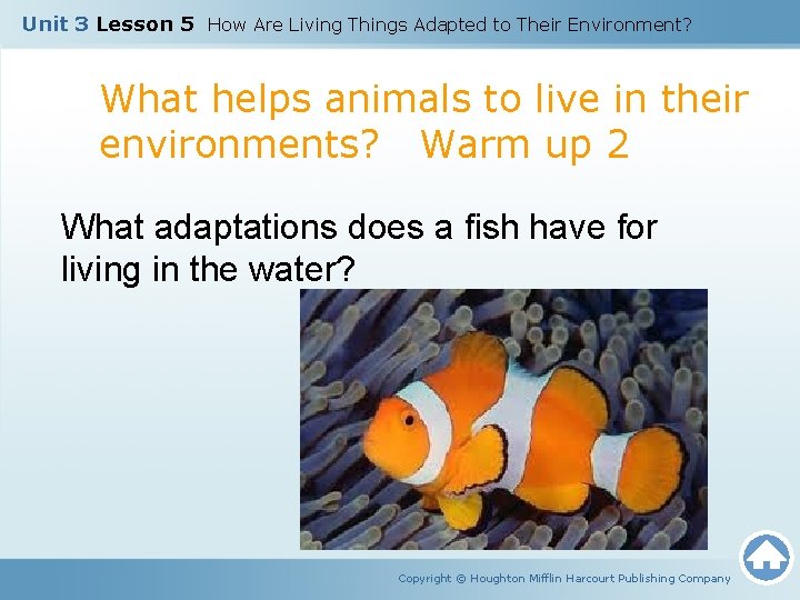 Unit 3 Lesson 5 How Are Living Things Adapted to Their Environment? What helps