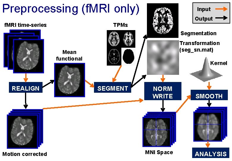 Preprocessing (f. MRI only) Input Output f. MRI time-series TPMs Segmentation Transformation (seg_sn. mat)
