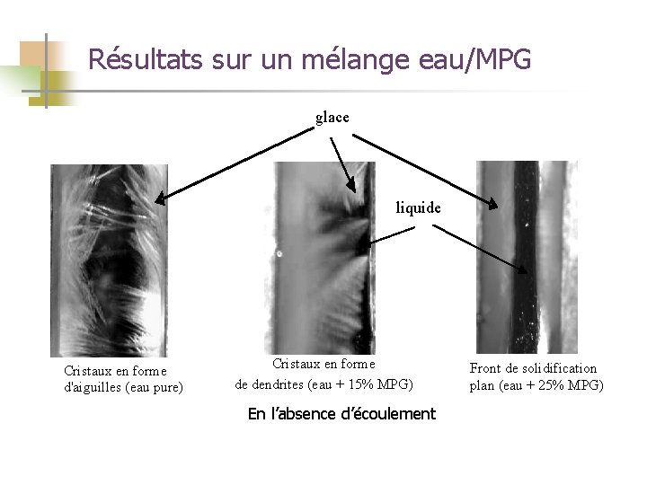 Résultats sur un mélange eau/MPG glace liquide Cristaux en forme d'aiguilles (eau pure) Cristaux