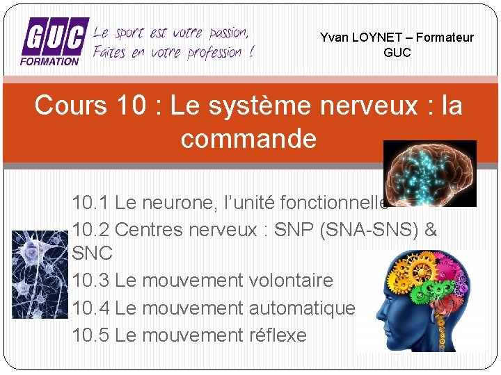 Yvan LOYNET – Formateur GUC Cours 10 : Le système nerveux : la commande