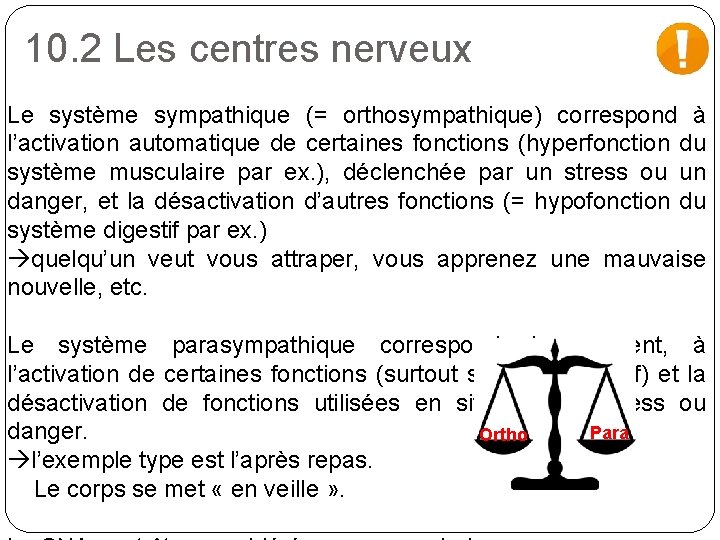 10. 2 Les centres nerveux Le système sympathique (= orthosympathique) correspond à l’activation automatique