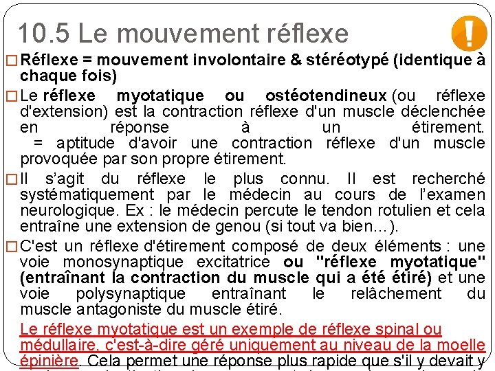 10. 5 Le mouvement réflexe � Réflexe = mouvement involontaire & stéréotypé (identique à