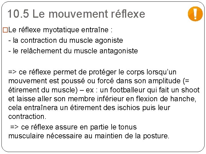 10. 5 Le mouvement réflexe �Le réflexe myotatique entraîne : - la contraction du