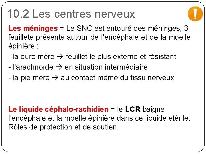 10. 2 Les centres nerveux Les méninges = Le SNC est entouré des méninges,