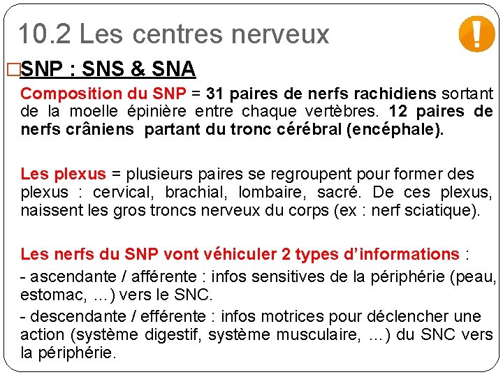 10. 2 Les centres nerveux �SNP : SNS & SNA Composition du SNP =