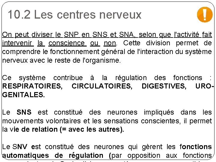 10. 2 Les centres nerveux On peut diviser le SNP en SNS et SNA,