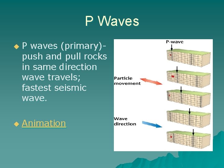 P Waves u u P waves (primary)push and pull rocks in same direction wave
