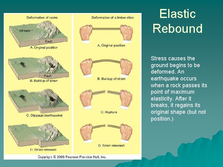 Elastic Rebound Stress causes the ground begins to be deformed. An earthquake occurs when