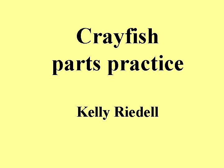 Crayfish parts practice Kelly Riedell 