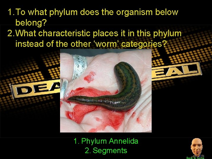 1. To what phylum does the organism below belong? 2. What characteristic places it
