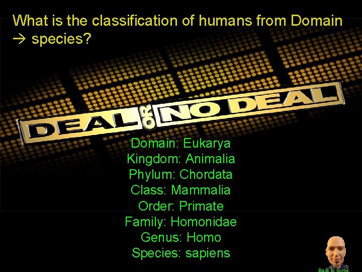 What is the classification of humans from Domain species? Domain: Eukarya Kingdom: Animalia Phylum: