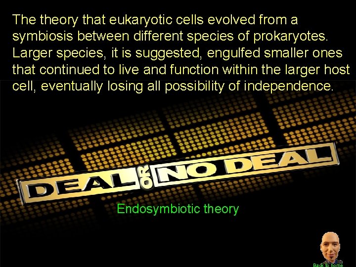 The theory that eukaryotic cells evolved from a symbiosis between different species of prokaryotes.