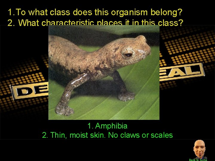 1. To what class does this organism belong? 2. What characteristic places it in